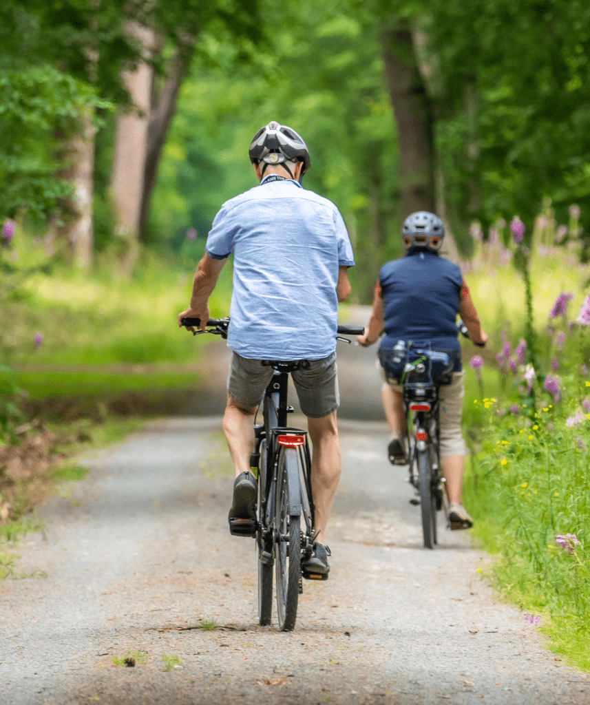 Balade à vélo dans la forêt