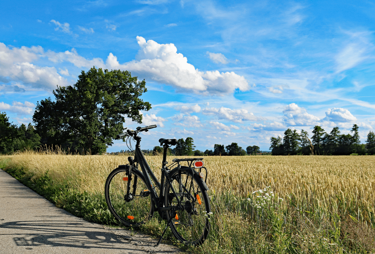 Location de vélo en Castelrenaudais